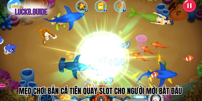 Mẹo chơi bắn cá tiên quay slot cho người mới bắt đầu