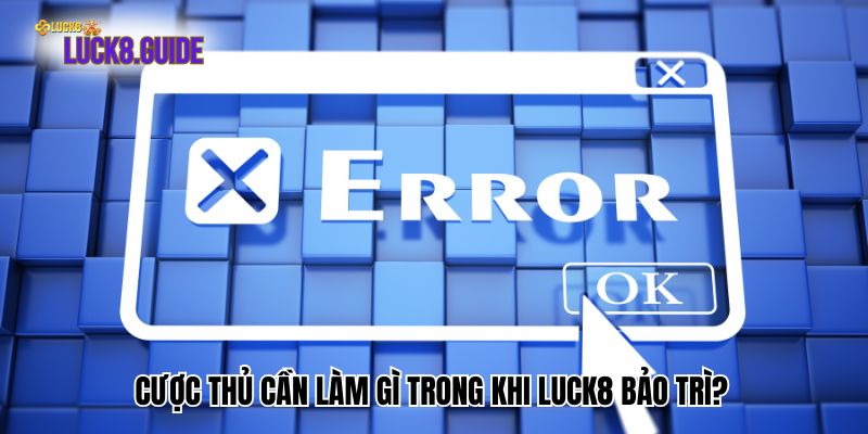 cuoc thu can lam gi trong khi luck8 bao tri Cược thủ cần làm gì trong khi Luck8 bảo trì?