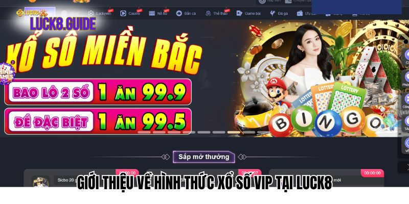 Giới thiệu về hình thức xổ số VIP tại Luck8