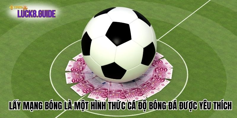 lay mang bong (1) Lấy mạng bóng là một hình thức cá độ bóng đá được nhiều người chơi yêu thích