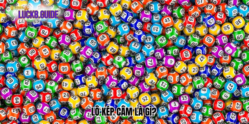 lo kep cam la gi Lô kép câm là gì?