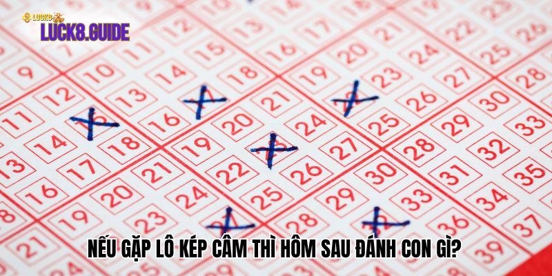 neu gap lo kep cam thi hom sau danh con gi Nếu gặp lô kép câm thì hôm sau đánh con gì?