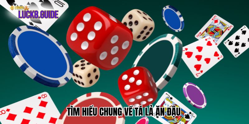 tim hieu chung ve ta la an dau Tìm hiểu chung về tá lả ăn đậu