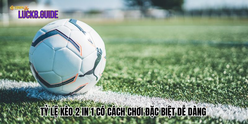 ty le keo 2 in 1 co cach choi dac biet de dang Tỷ lệ kèo 2 in 1 có cách chơi đặc biệt dễ dàng