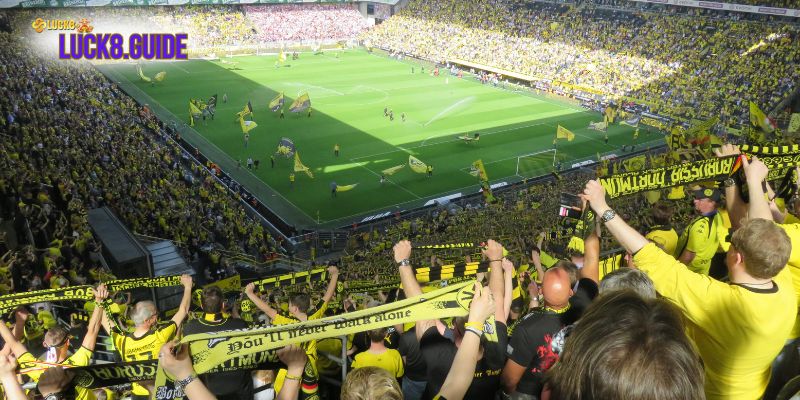 nhan dinh bong da plus 2 Website có giao diện thông minh, thân thiện với người dùng