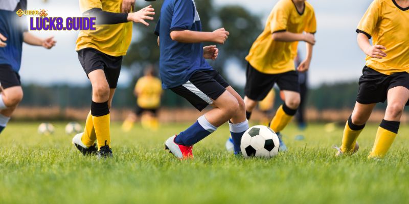 nhan dinh bong da plus 3 Mục tiêu xây dựng và phát triển trang nhận định bóng đá plus